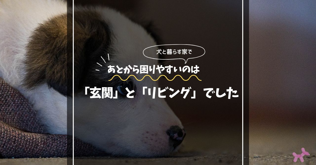 犬と暮らす家で、あとから困りやすいのは「玄関」と「リビング」でした